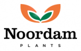 Noordam plants